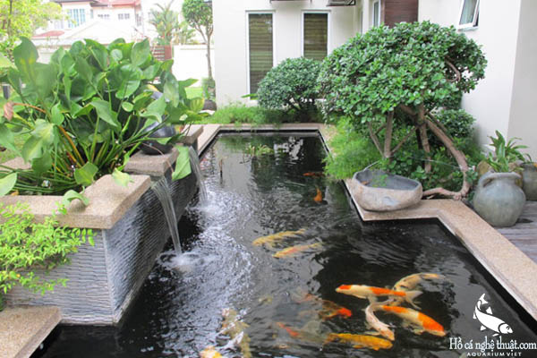 cong nghe tham thau tach muoi ra kkhoi nuoc